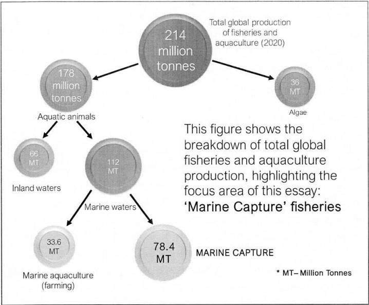 Source-wise Break-up of Fisheries Production