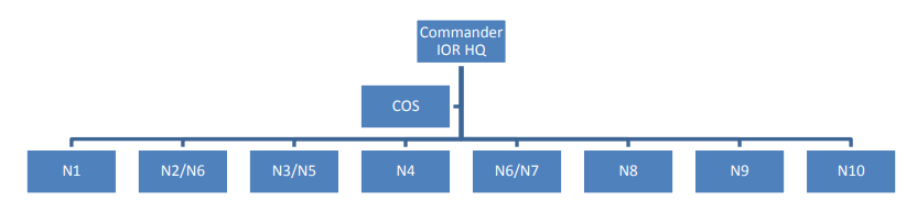 Figure 5: IONs HQ Command Organisation